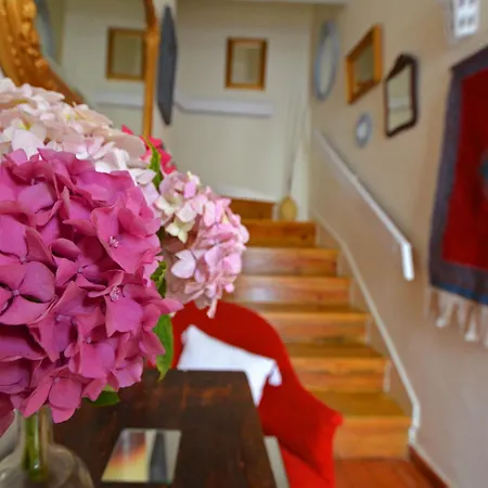 Charming House With 3 Bedrooms Holiday home
