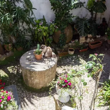 Holiday home Charming House With 3 Bedrooms Obidos