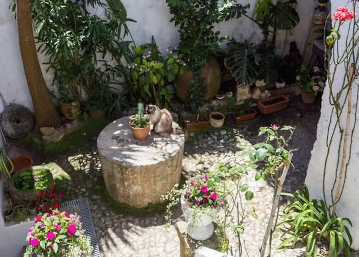 Casa vacanze Charming House With 3 Bedrooms Óbidos